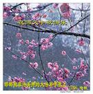 Published on 10/5/2006 ��½�󷨵��ӹ�ףʦ��������֣���һ��