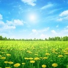 Published on 5/22/2012 ���ֹ�,������ѡ�ǡ����Ӷ��ࣺ������ȥ���� - ���ִ�������
