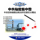 Published on 4/18/2006 VCD����������й����ܼ���Ӫ��