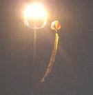 Published on 1/11/2002 ͼƬ��1��9�մ������ִ��յĴ�����
