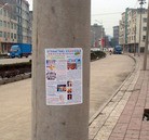 Published on 2/11/2008 ���ֹ�,������������ʮһ�մ�½�ۺ���Ϣ