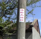 Published on 5/14/2009 ��½���ֵ���������ճ��