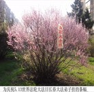 Published on 5/18/2010 ���ֹ�,��Ƭ��������ĳ��5��13�ճ��ֵ��������� - ���ִ������� - minghui.org