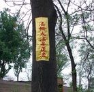 Published on 5/19/2010 ���ֹ�,����һ��������ʮ���մ�½�ۺ���Ϣ - ���ִ������� - minghui.org