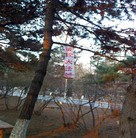 Published on 5/3/2010 ���ֹ�,����һ�����������մ�½�ۺ���Ϣ - ���ִ������� - minghui.org