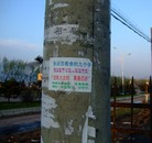 Published on 5/13/2011 ���ֹ�,����һһ������ʮ���մ�½�ۺ���Ϣ - ���ִ�������
