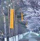 Published on 5/14/2011 ���ֹ�,������ĳ�ؽ�ͷ��ף�����編�ִ��ա����� - ���ִ�������
