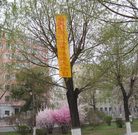 Published on 5/14/2011 ���ֹ�,���조��һ��������½������������������ - ���ִ�������
