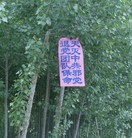 Published on 5/16/2012 ���ֹ�,��ף���ա���½��س����������� - ���ִ�������
