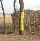 Published on 5/13/2013 ���ֹ�,��һ�����ִ���֮�ʴ�½��س�����������(ͼ)
