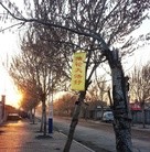 Published on 5/13/2013 ���ֹ�,��һ�����ִ���֮�ʴ�½��س�����������(ͼ)
