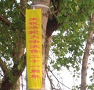 Published on 5/13/2013 ���ֹ�,��һ�����ִ���֮�ʴ�½��س�����������(ͼ)
