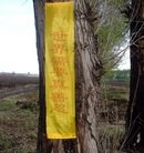 Published on 5/14/2013 ���ֹ�,��ף���ա���½��س�����������(ͼ)
