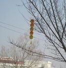 Published on 2/1/2014 ���ֹ�,�����ڼ�ӱ��������ȵس��ֵ��������� ����������
