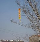 Published on 2/1/2014 ���ֹ�,�����ڼ�ӱ��������ȵس��ֵ��������� ����������
