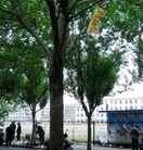 Published on 5/15/2014 ���ֹ�,�й��������人��������������ɵȵس���������ף���編�ִ��� ����������
