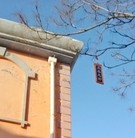 Published on 12/15/2015 ���ֹ�,��̨�����ɵȵؽ�ͷ��β������չ������� ����������
