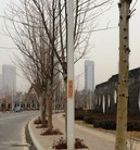 Published on 2/23/2015 ���ֹ�,�����ڼ��½���ص�������� ����������
