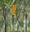 Published on 4/27/2015 ���ֹ�,����һ�������¶�ʮ���մ�½�ۺ���Ϣ ����������
