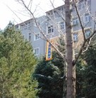 ���ֹ�,��ף���ִ��� ���ɹ�ĳ����������չ�󷨺� ����������
