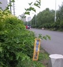 Published on 6/30/2015 ���ֹ�,�������С���԰�ȶദ���֡��󽭡����� ����������
