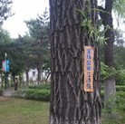 Published on 6/30/2015 ���ֹ�,�������С���԰�ȶദ���֡��󽭡����� ����������
