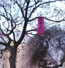 Published on 2/13/2016 ���ֹ�,�����ڼ��½������ؿɼ��������� ����������
