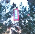 Published on 2/13/2016 ���ֹ�,�����ڼ��½������ؿɼ��������� ����������
