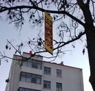 Published on 2/13/2016 ���ֹ�,�����ڼ��½������ؿɼ��������� ����������
