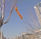 Published on 2/22/2016 ���ֹ�,�����ڼ��½���ص�����չ�壨4�� ����������
