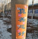 Published on 2/22/2016 ���ֹ�,�����ڼ��½���ص�����չ�壨4�� ����������
