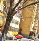 ���ֹ�,��½���ص�����չ�壨5�� ����������
