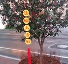 Published on 6/13/2016 ���ֹ�,չ�塢���������Ҵ������� ����������
