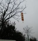 Published on 3/25/2017 ���ֹ�,��½��ؽ�ͷչ�塢���ﴫ�ݷ��ֹ����� ����������