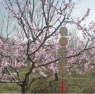 Published on 4/11/2017 ���ֹ�,��ů����������չ�塢�����͸��� ����������