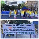 Published on 7/20/2017 ���ֹ�,���Ⱥ�ʮ�����ꡡ������ʿ��ѧԱ�������� ����������