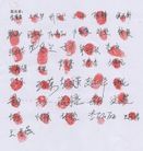 Published on 12/22/2018 ���ֹ�,���������﷨Ժ�������������ַǷ�ͥ�� ����������