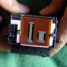 Published on 3/29/2005 		�ԡ�����1210��ӡ���������ֽ�ܺڵ����⡷�ٻش�
