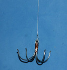 Published on 5/20/2007 ʹ������ֽ��ע�ⰲȫ����������֤ʵ��