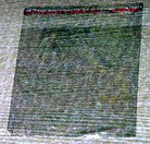 Published on 2/12/2010 ���ֹ�,����һ�ֿ��ٷ����������ϵĺ÷�����ͼ�� - ���ִ������� - minghui.org