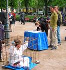 ������չ�����������������й����ԣ�ͼ��
