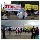 ���ֹ�,���������ڣ�֧������ ����������
