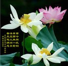 Published on 9/22/2010 ���ֹ�,��½�󷨵��ӹ�ףʦ���������(230��) - ���ִ�������
