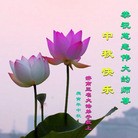 Published on 9/22/2010 ���ֹ�,��½�󷨵��ӹ�ףʦ���������(107��) - ���ִ�������
