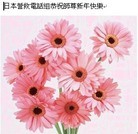 ���ֹ�,�ձ���������ӡ��󷨵��ӹ�ףʦ�������
