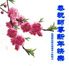 ���ֹ�,�����׶������ݵ�������ȵش󷨵��ӹ�ףʦ�������
