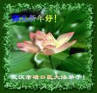 Published on 1/19/2004 �й���½33�ش󷨵��ӹ�ףʦ��ũ������ã���ͼ��
