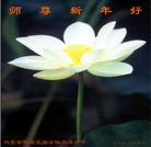 Published on 12/28/2004 		�й���½176�ش󷨵����ʺ�ʦ������ã�ͼ��
