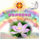 Published on 12/31/2004 		�й���½�󷨵����ʺ�ʦ������ã�4��
