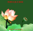 Published on 5/15/2005 		��½�󷨵��ӹ���ʦ�𻪵��߷��ִ󷨺鴫ʮ������(5)
